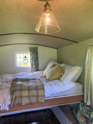 Shepherds Hut @ Tin And Canvas Glamping Pickering