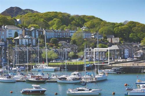 Blue Anchor Cottage, Porthmadog 1030a