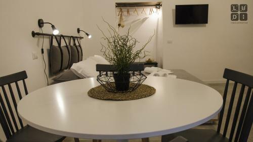 Bed & Breakfast Ludi Studios