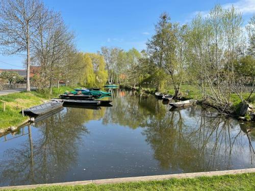 Apartamento Ferienwohnung Wiesenblick
