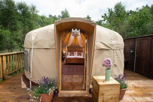 Hazel Yurt - Yurtshire Eavestone Lake Site