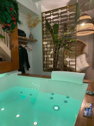 Apartamento Suite Priv�e Tha� / Jacuzzi, Home Cin�ma, Jardin