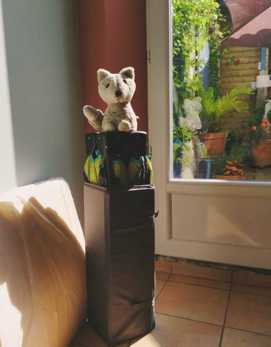 Apartamento Au Levant De Marie