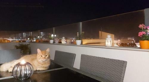 Apartamento Precioso Atico A 200 Metros De La Playa