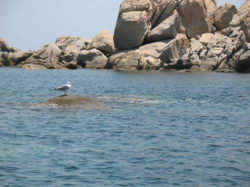 Bed & Breakfast Abiibii Sardinia