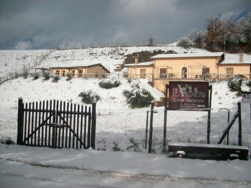 Il Vigneto