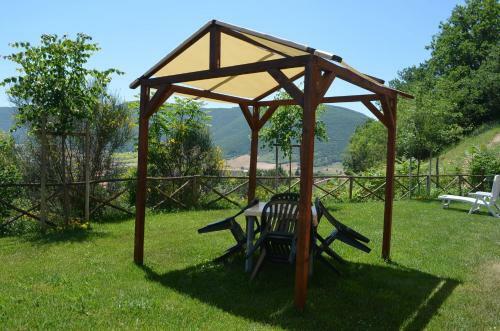 Il Vigneto