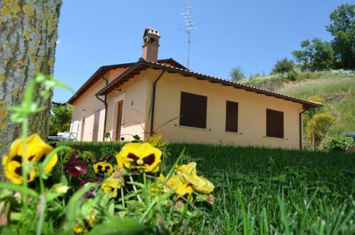 Il Vigneto