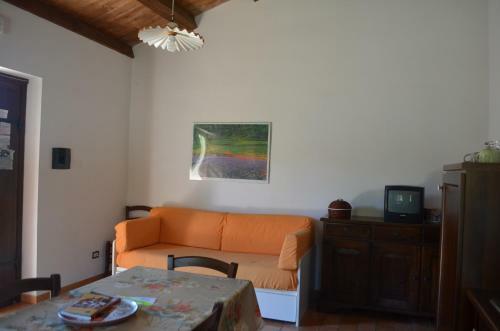Il Vigneto