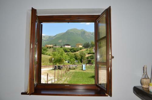 Il Vigneto