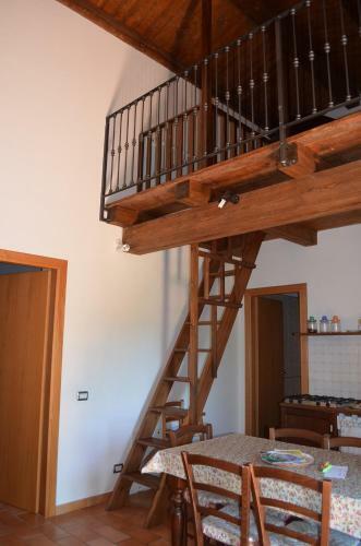 Il Vigneto