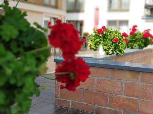 B�kk�s Hotel & Spa