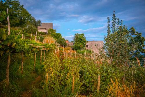 Agroturismo Agriturismo Mare E Monti