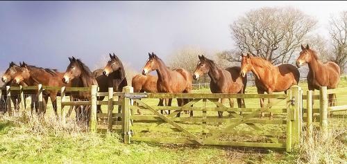 The Coach House Barn - Valley Farm