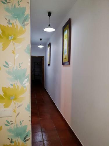Apartamento La Rana