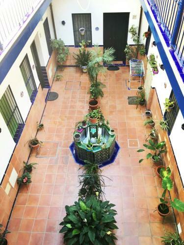 Apartamento La Rana