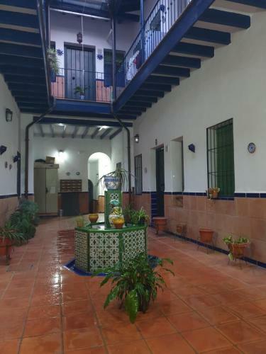 Apartamento La Rana