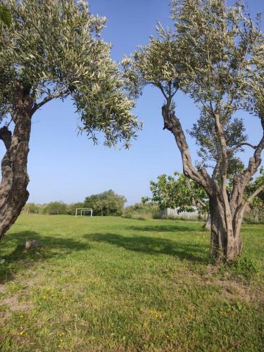 Apartamento Casetta Ggg