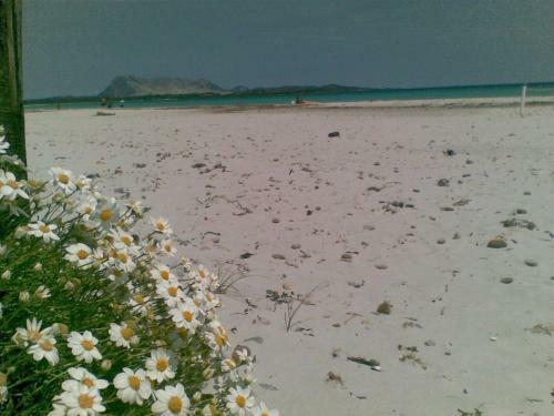 Apartamento Casa Lea - Alle Tre Querce