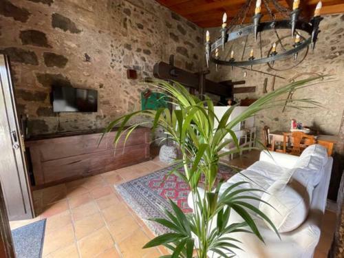 Preciosa Casa Canaria En Un Para�so Natural
