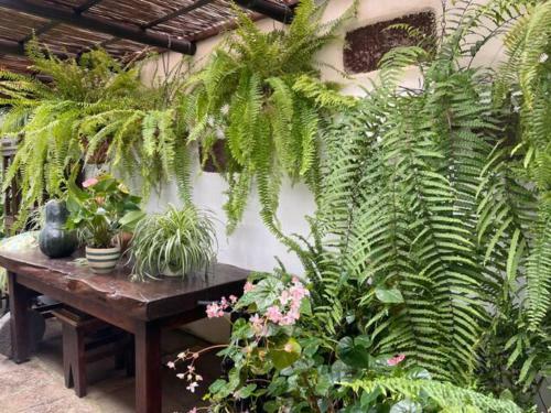 Preciosa Casa Canaria En Un Para�so Natural