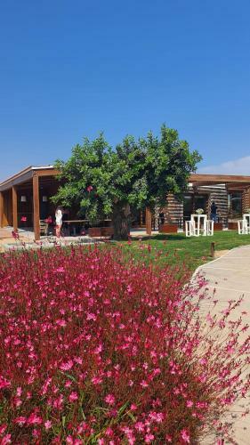Lodge Finca La Suerte Grande