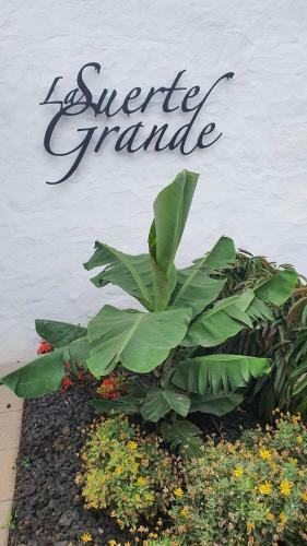 Lodge Finca La Suerte Grande