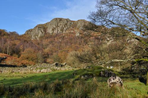 High Wallabarrow Farm Cottage