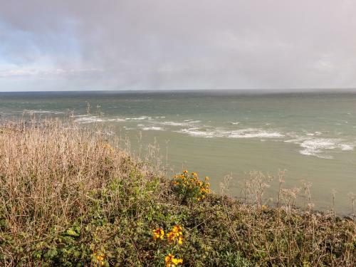 Seas The Day