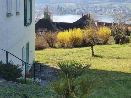 Apartamento Ferienwohnung Seegarten