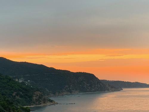 Apartamento ? Terrace + Sea Views + Private Beach. What Else? ?