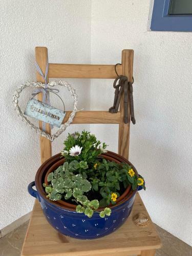 Apartamento Ferienbungalow Zur Wolfsgrube