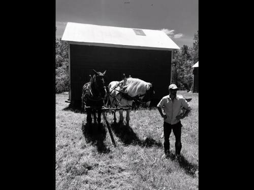 Saratoga Springs- Close To Broadway, Track & Spac