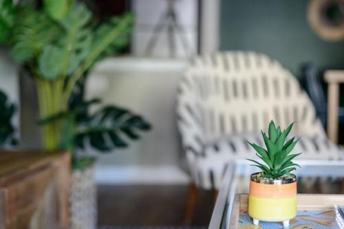 Wanderjaunt - Belle Haven Apartments