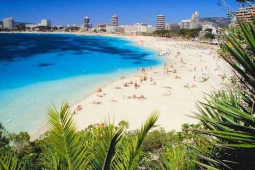 Apartamento Magaluf 1b