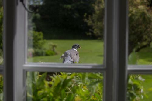 Hostal Carrick's At Castle Farm