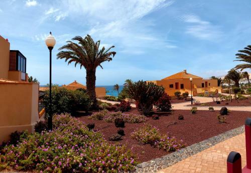 Apartamento Grani Mar