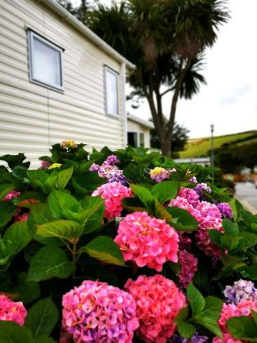 Newquay Caravans