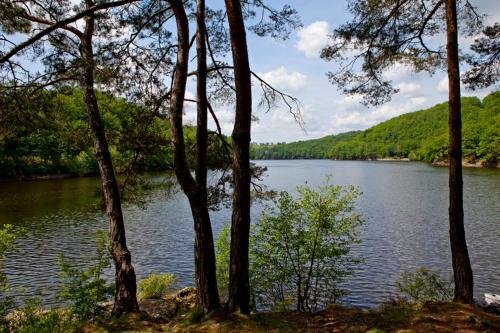 Hotel H�tel Du Lac