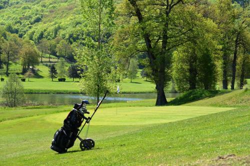 Hotel H�tel Du Lac