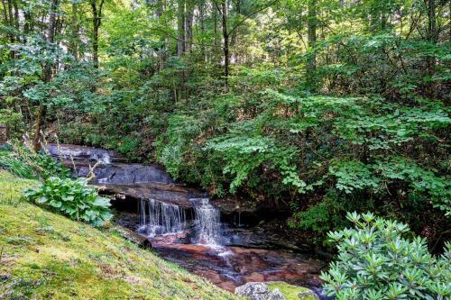Laurel Falls