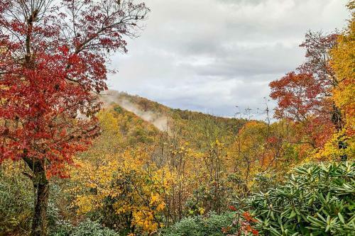 Quiet And Tranquil Spruce Pine Cabin With Views!