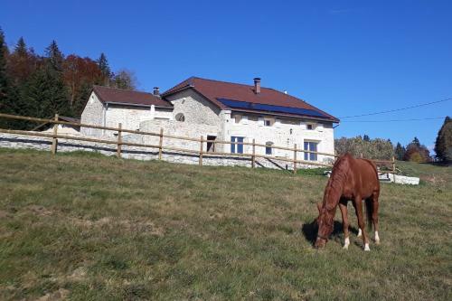 Bed & Breakfast Chambres D'h�te Des 3 Marches
