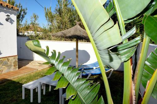 Casas Arena Y Mar