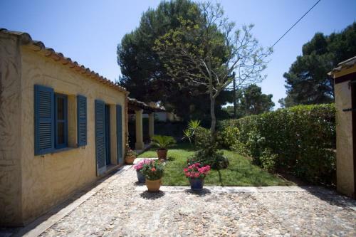 Villa Palma Paradise