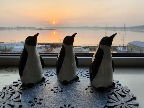Apartamento Ferienwohnung Schleiloge Mit Panoramablick Auf Die Schlei