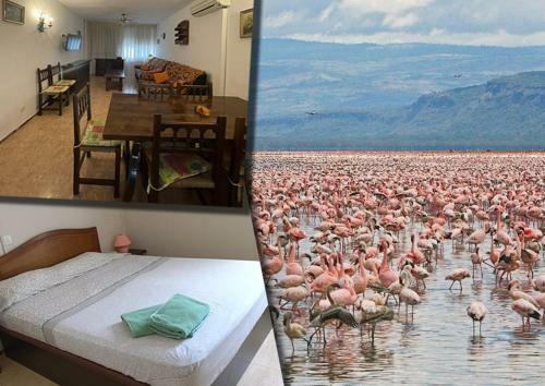 Apartamento Eucaliptus, Bonito Piso A Pocos Pasos De La Playa Delta De L'ebre