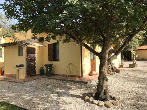 Belvedere 4 In Villa Greco
