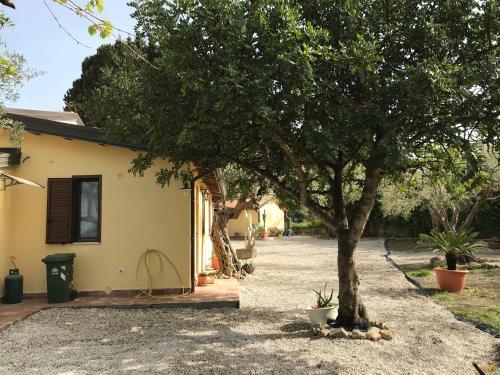 Belvedere 4 In Villa Greco