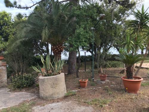 Belvedere 3 In Villa Greco